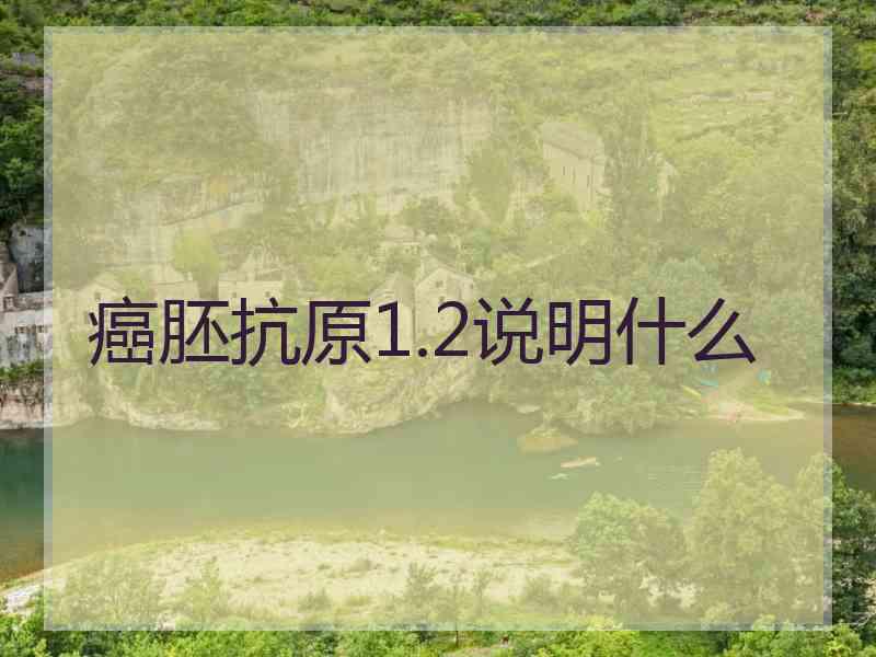 癌胚抗原1.2说明什么