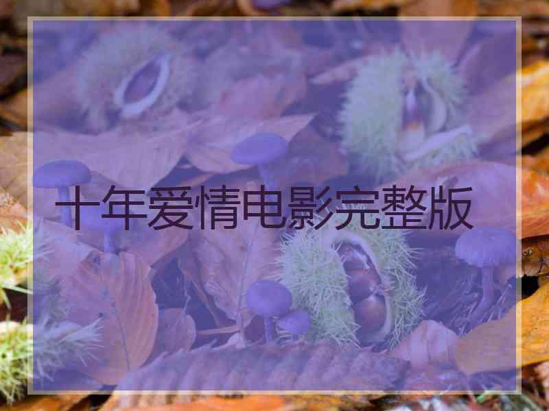 十年爱情电影完整版
