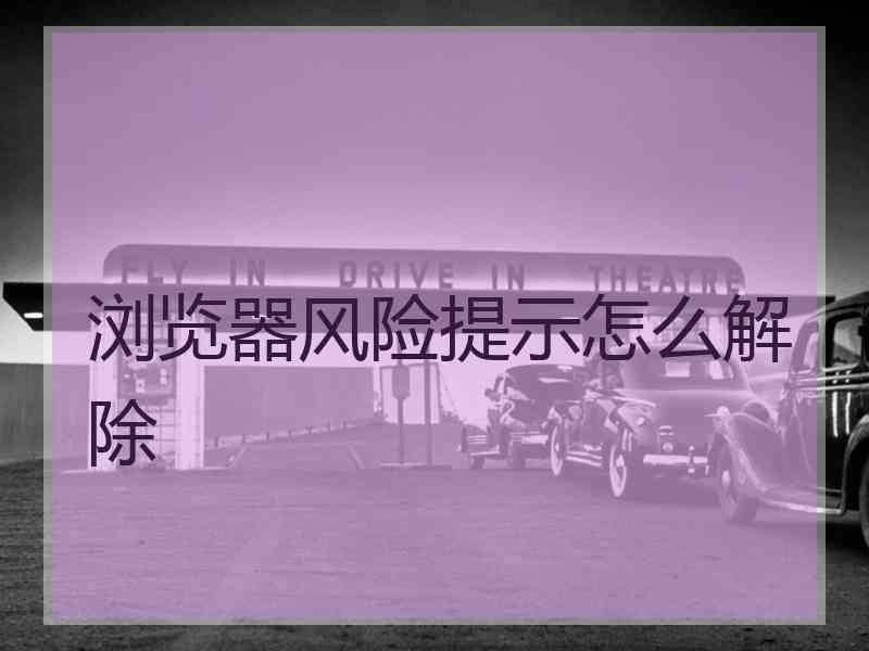 浏览器风险提示怎么解除