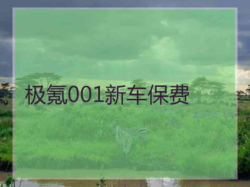 极氪001新车保费