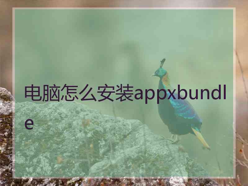 电脑怎么安装appxbundle