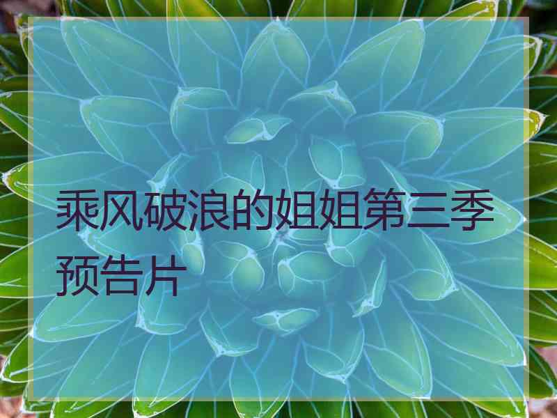 乘风破浪的姐姐第三季预告片