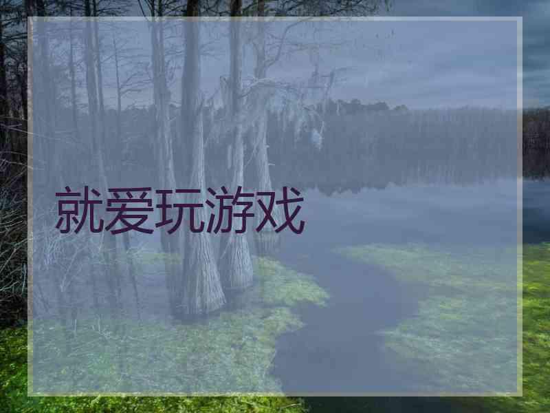就爱玩游戏