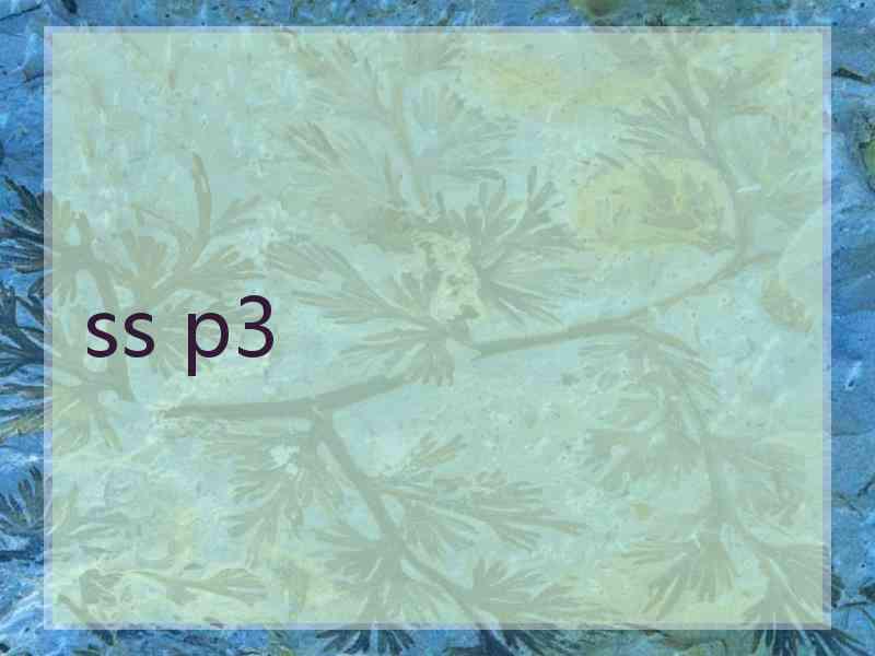 ss p3