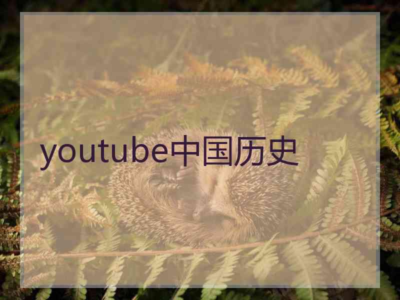 youtube中国历史