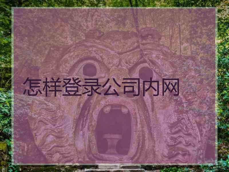 怎样登录公司内网