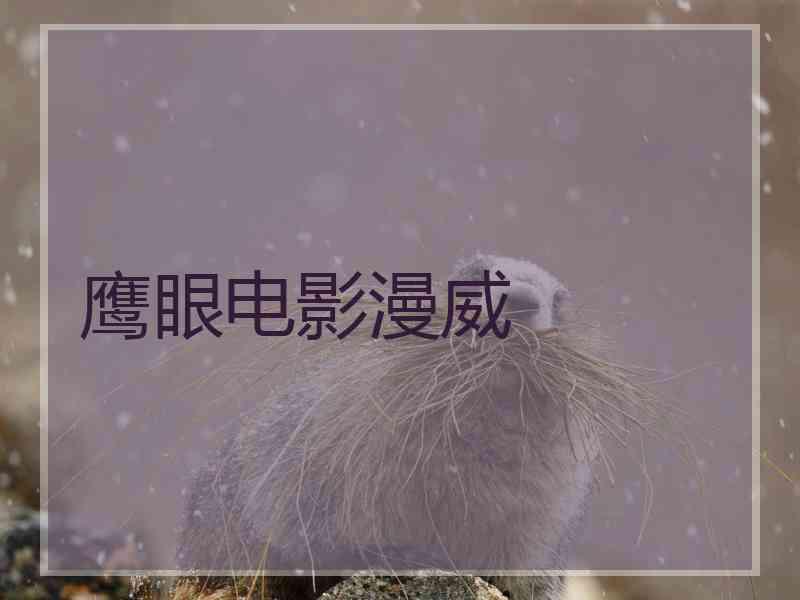 鹰眼电影漫威