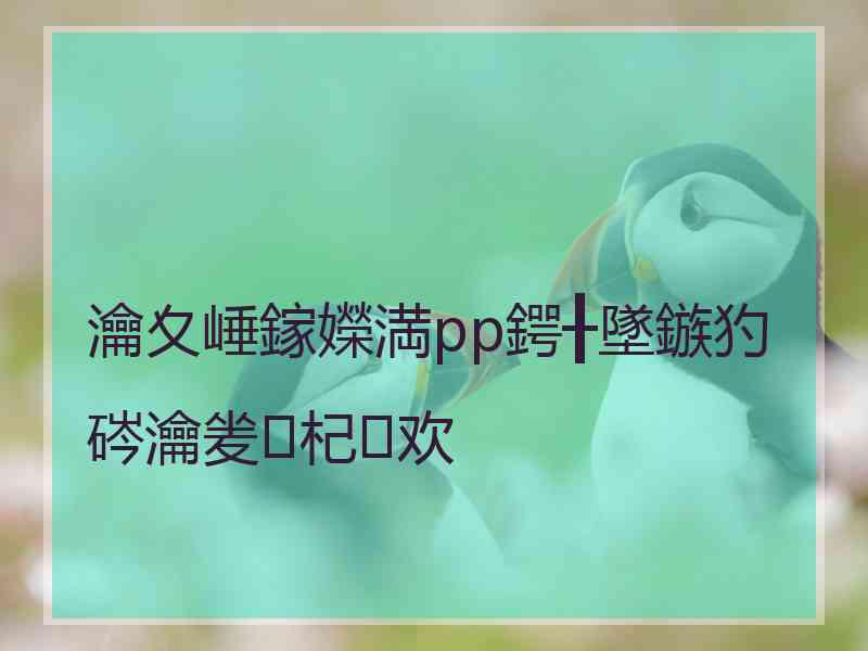 瀹夊崜鎵嬫満pp鍔╂墜鏃犳硶瀹夎杞欢