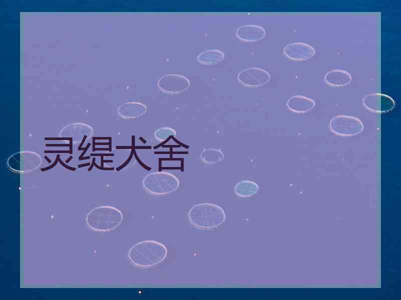 灵缇犬舍