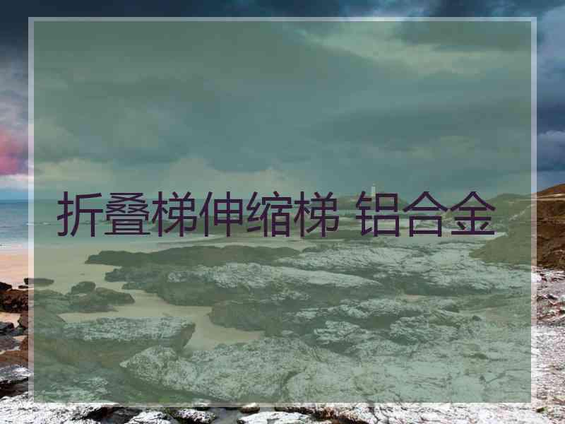 折叠梯伸缩梯 铝合金