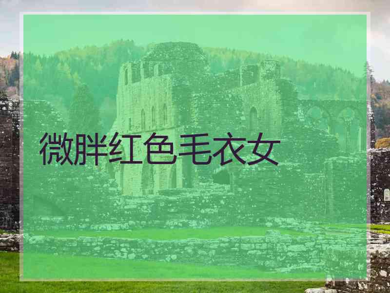 微胖红色毛衣女