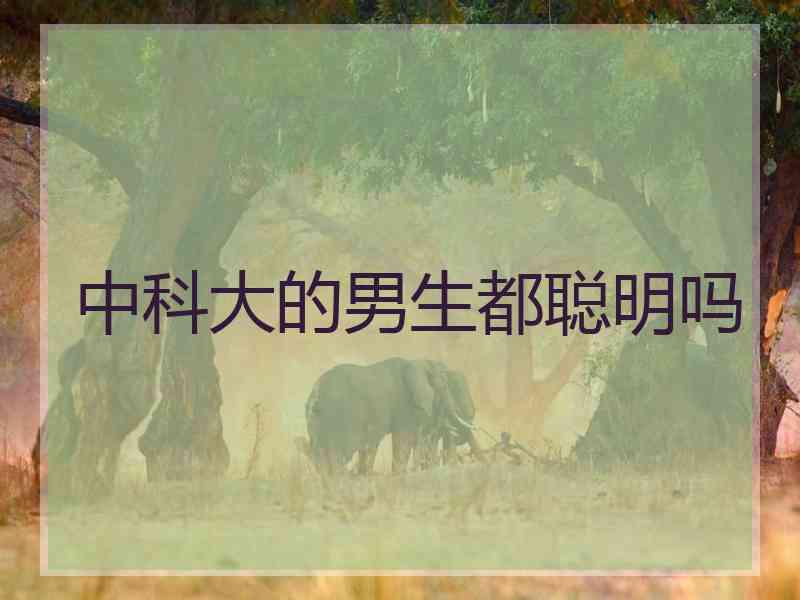 中科大的男生都聪明吗