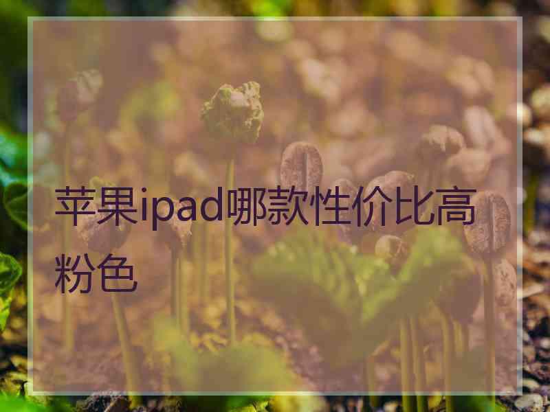 苹果ipad哪款性价比高粉色