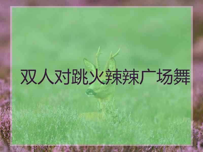 双人对跳火辣辣广场舞