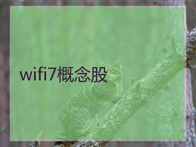 wifi7概念股