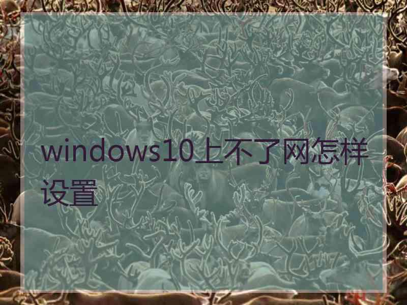 windows10上不了网怎样设置