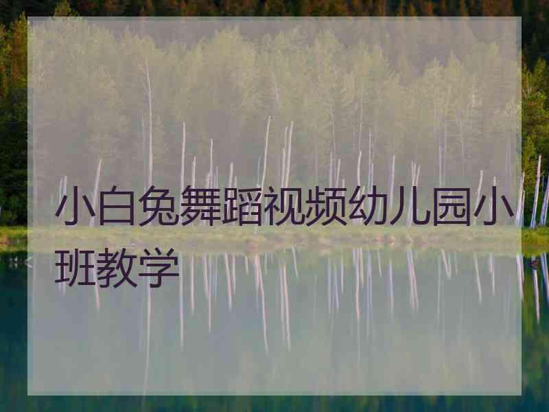 小白兔舞蹈视频幼儿园小班教学