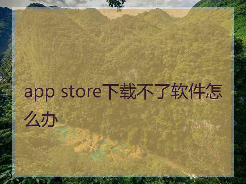 app store下载不了软件怎么办