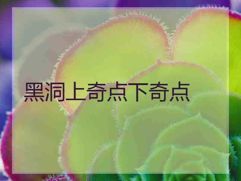 黑洞上奇点下奇点