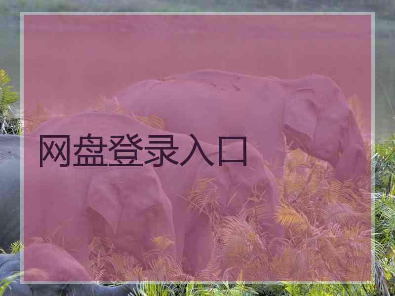 网盘登录入口