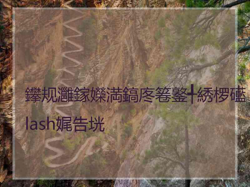 鑻规灉鎵嬫満鎬庝箞鐜╃綉椤礷lash娓告垙