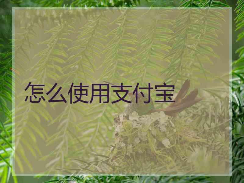 怎么使用支付宝