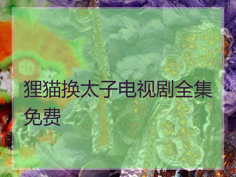 狸猫换太子电视剧全集免费