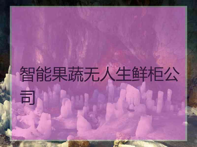 智能果蔬无人生鲜柜公司