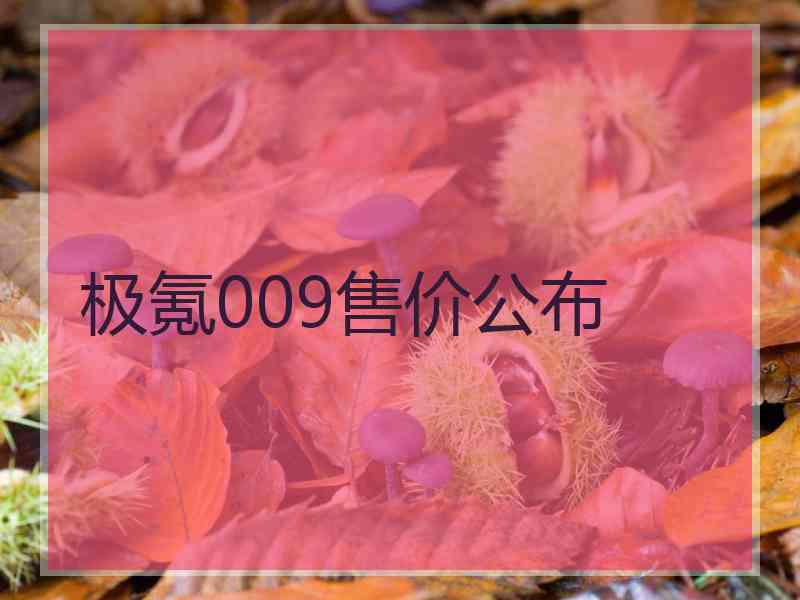 极氪009售价公布
