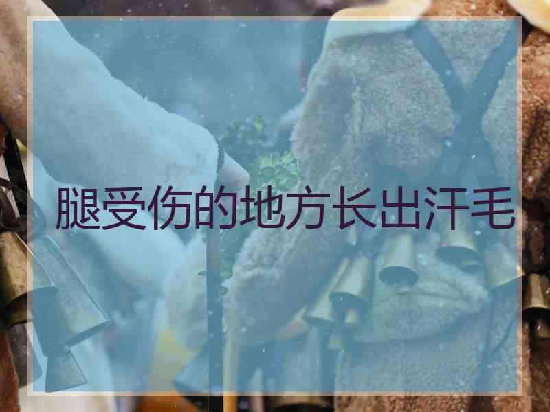腿受伤的地方长出汗毛
