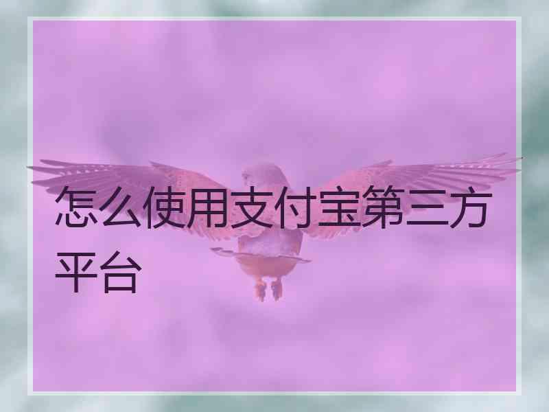 怎么使用支付宝第三方平台