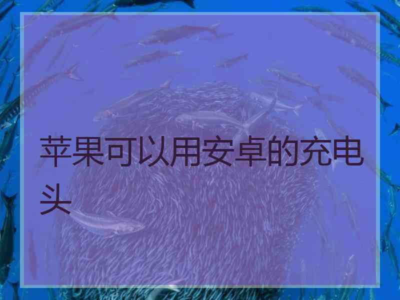 苹果可以用安卓的充电头
