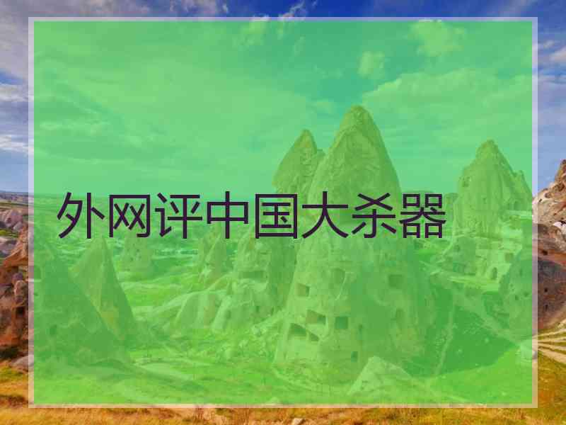 外网评中国大杀器