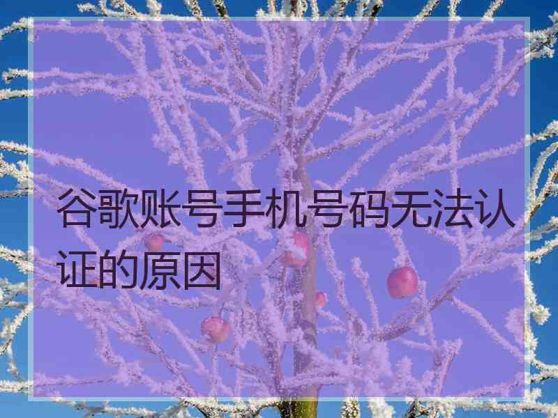 谷歌账号手机号码无法认证的原因