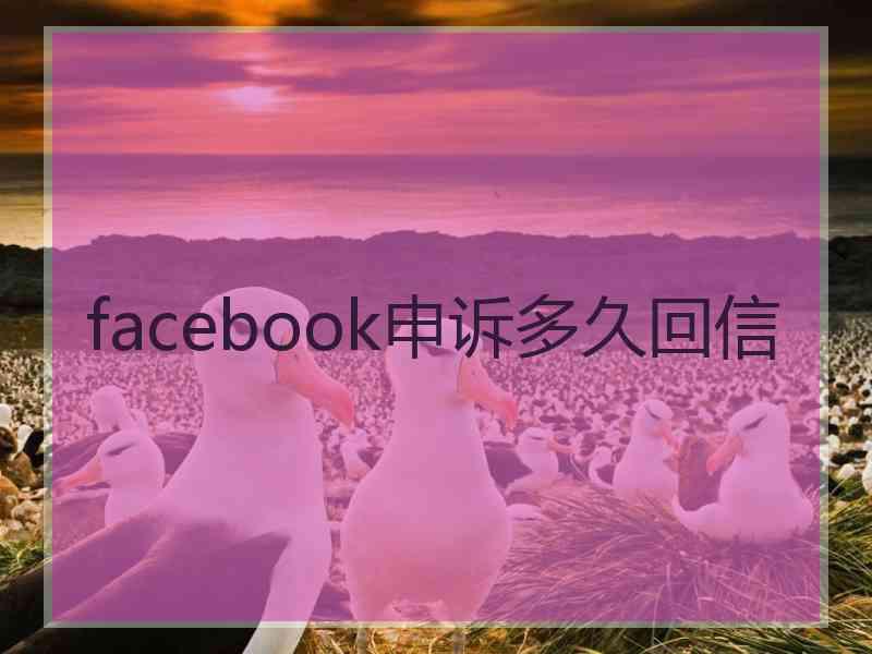 facebook申诉多久回信