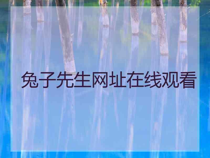 兔子先生网址在线观看