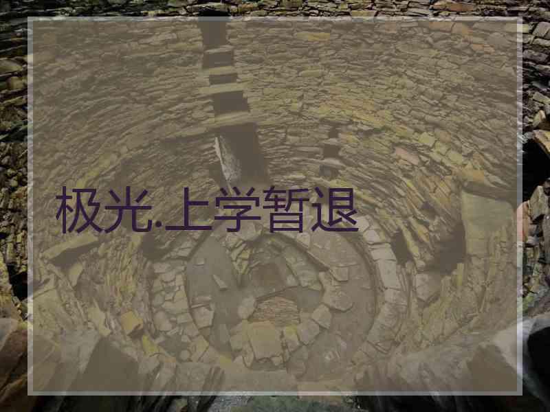 极光.上学暂退