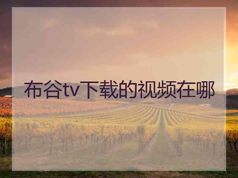 布谷tv下载的视频在哪