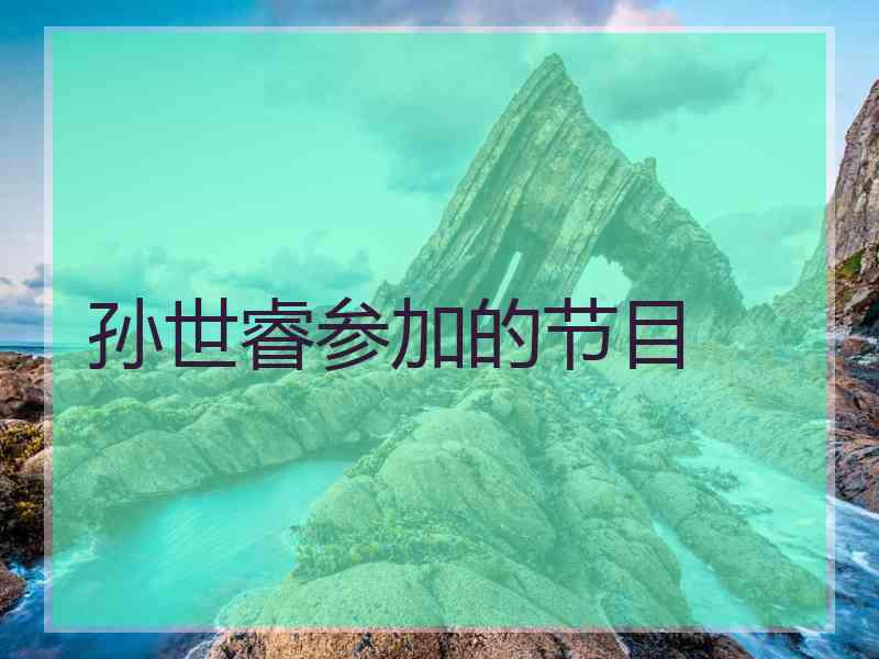孙世睿参加的节目