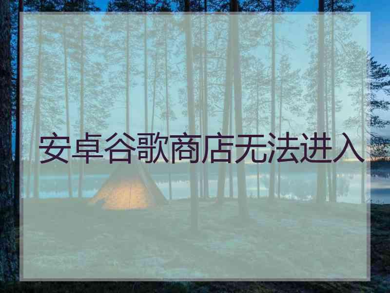 安卓谷歌商店无法进入