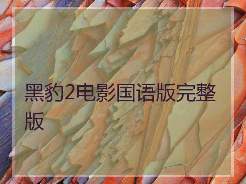 黑豹2电影国语版完整版