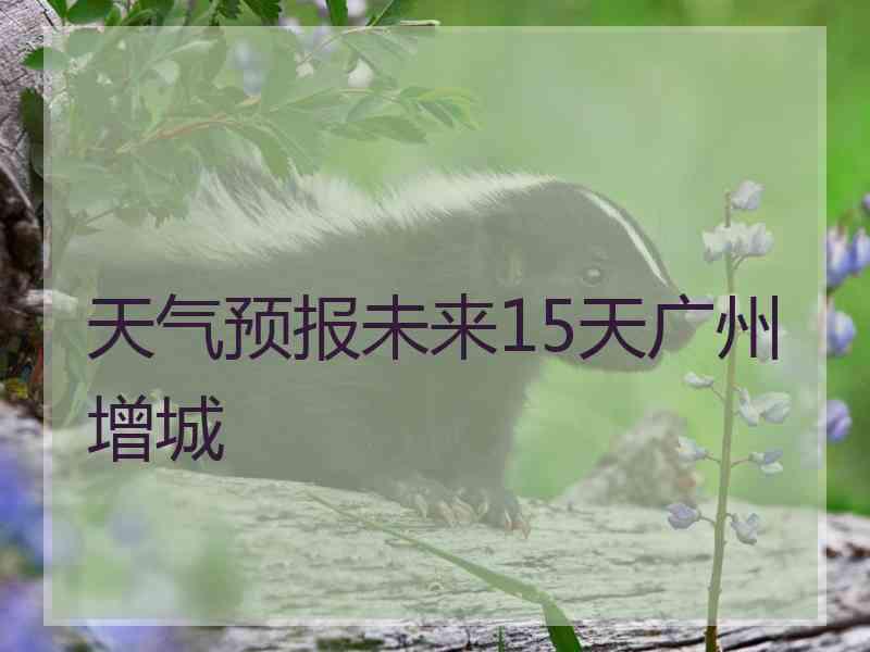 天气预报未来15天广州增城