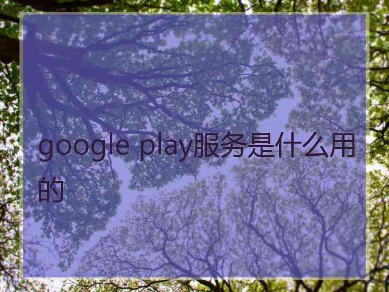 google play服务是什么用的