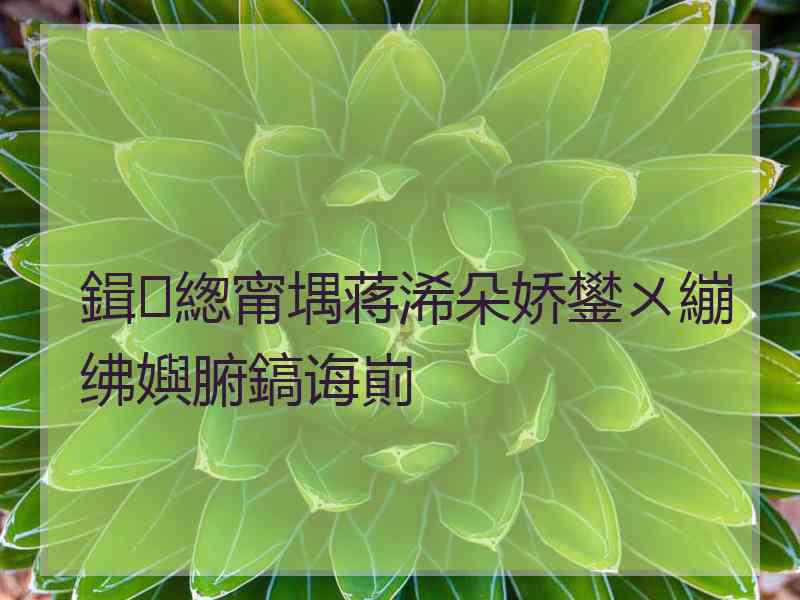 鍓緫甯堣蒋浠朵娇鐢ㄨ繃绋嬩腑鎬诲崱