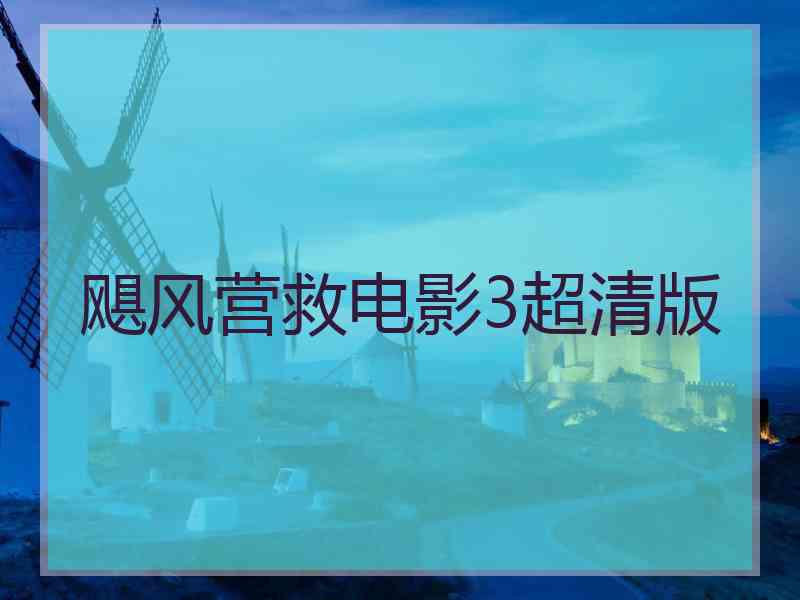 飓风营救电影3超清版