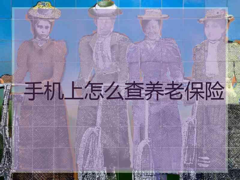 手机上怎么查养老保险