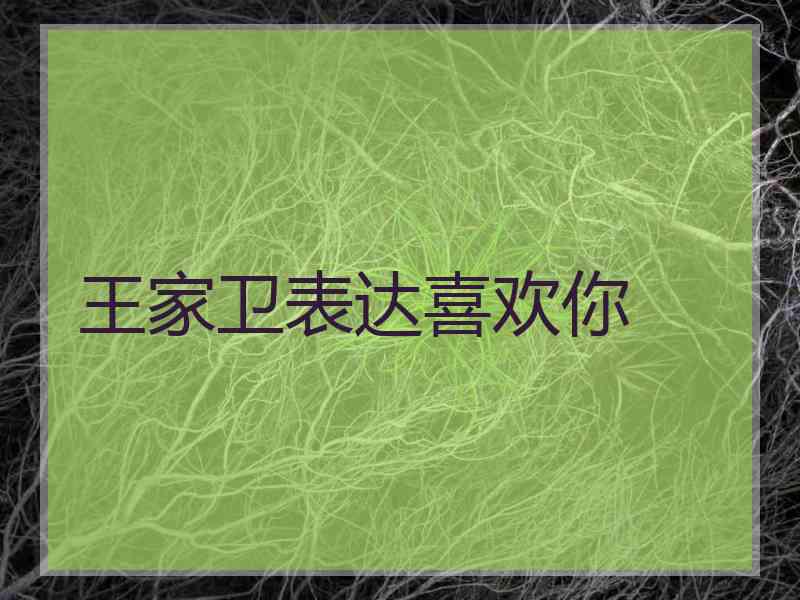 王家卫表达喜欢你