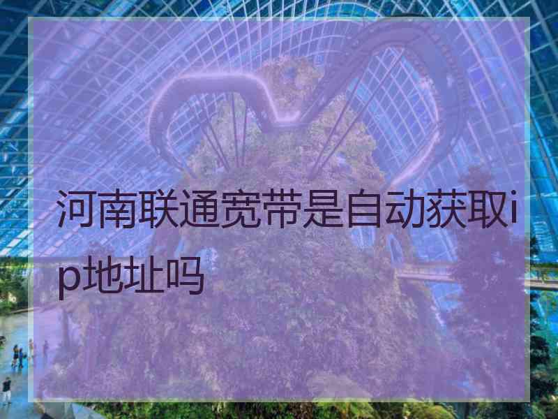 河南联通宽带是自动获取ip地址吗