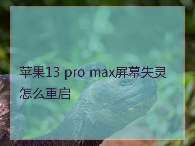 苹果13 pro max屏幕失灵怎么重启