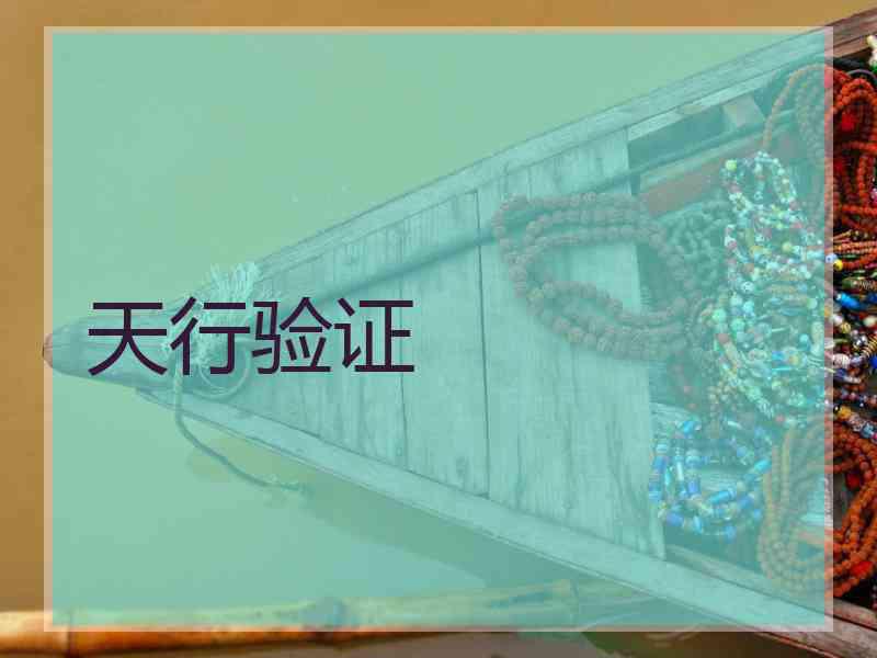 天行验证